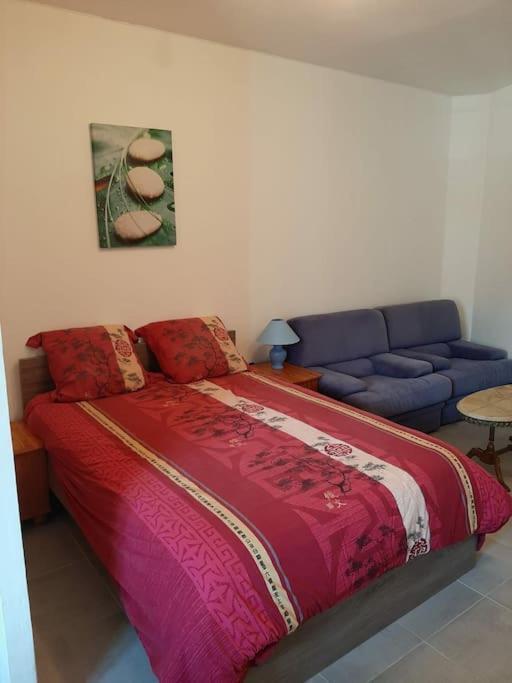 Ferienwohnung Confortable En Hyper Centre Parking Gratuit Dans La Rue Acces Avec Boite A Clee Castres  Exterior foto
